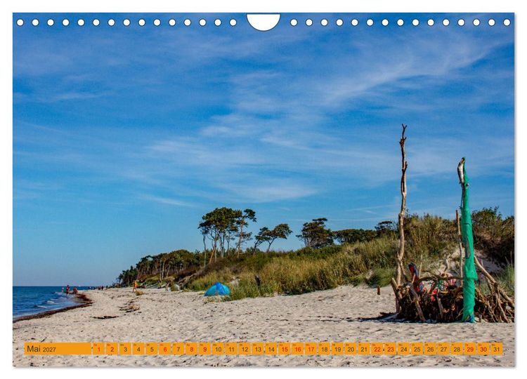 Produktbild: Wilder Dar&szlig;er Weststrand (Wandkalender 2027 DIN A4 quer), CALVENDO Monatskalender
