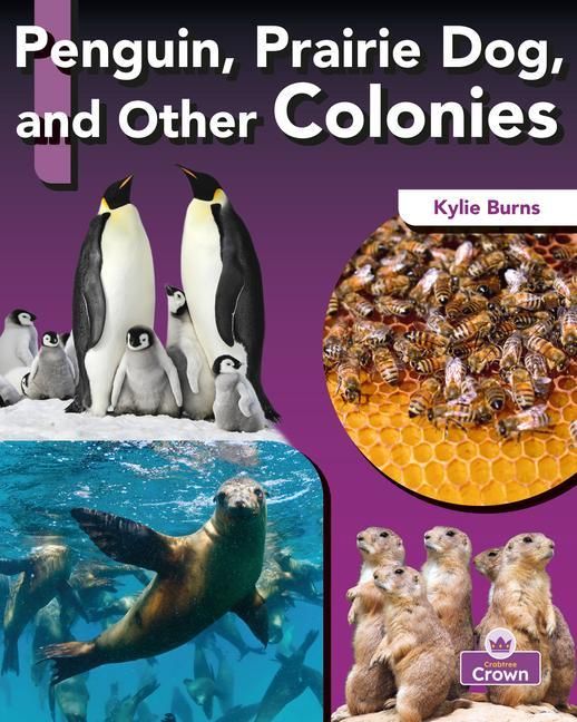 Produktbild: Penguin, Prairie Dog, and Other Colonies