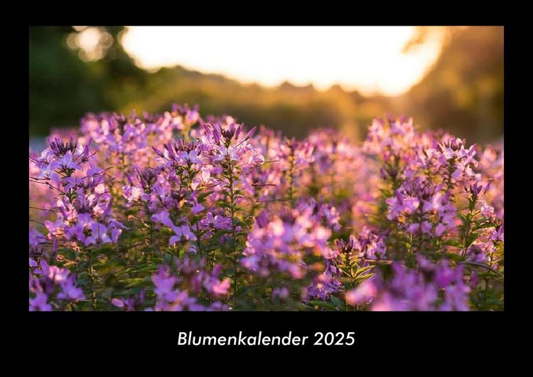 Produktbild: Blumenkalender 2025 Fotokalender DIN A3