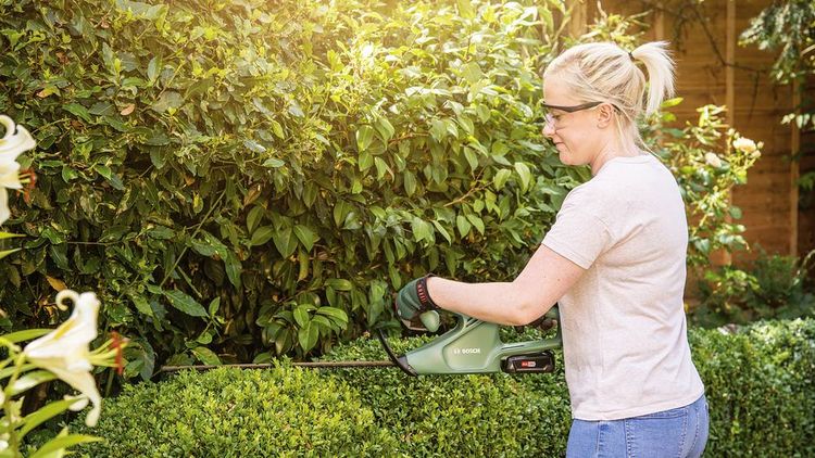Produktbild: Bosch Home and Garden EASYHEDGECUT 18-45 Heckenschere inkl. Akku, inkl. Ladeger&auml;t 18 V Li-Ion