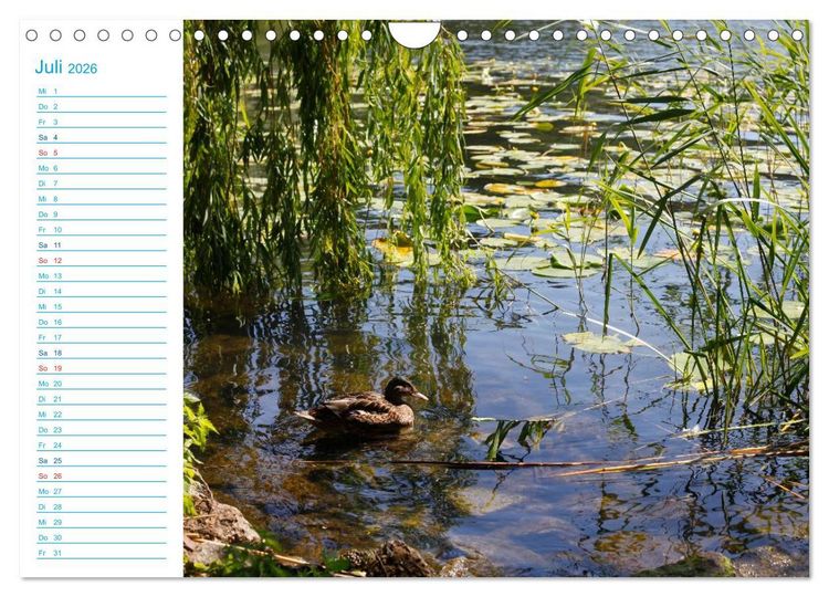 Produktbild: Urlaubsparadies Scharm&uuml;tzelsee (Wandkalender 2026 DIN A4 quer), CALVENDO Monatskalender