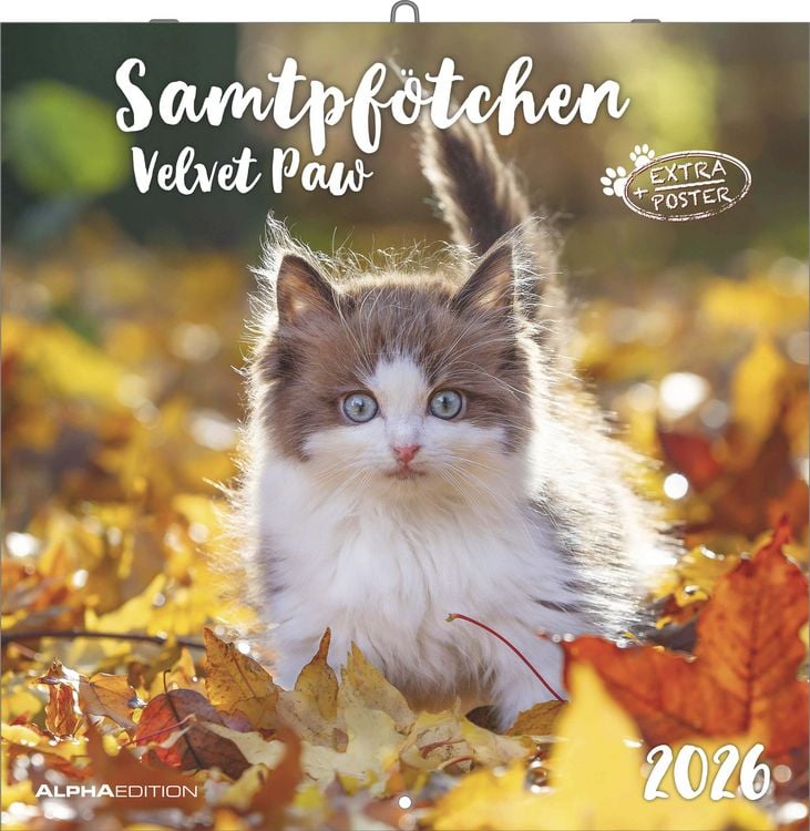 Bild vom Artikel Samtpfötchen 2026 - Broschürenkalender 30x30 cm (30x60 geöffnet) - Kalender mit Platz für Notizen - inkl. herausnehmbarem Poster - Bildkalender vom Autor Alpha Edition