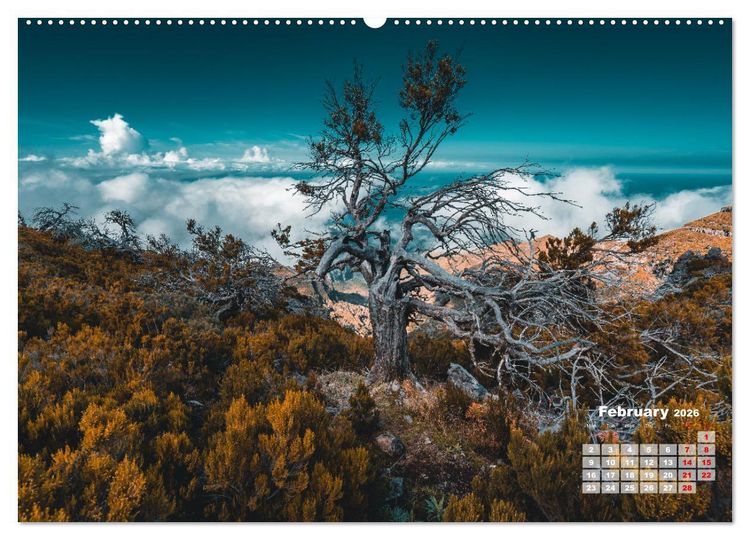 Produktbild: Madeira Island - Portugal (Wall Calendar 2026 DIN A2 landscape), CALVENDO 12 Month Wall Calendar