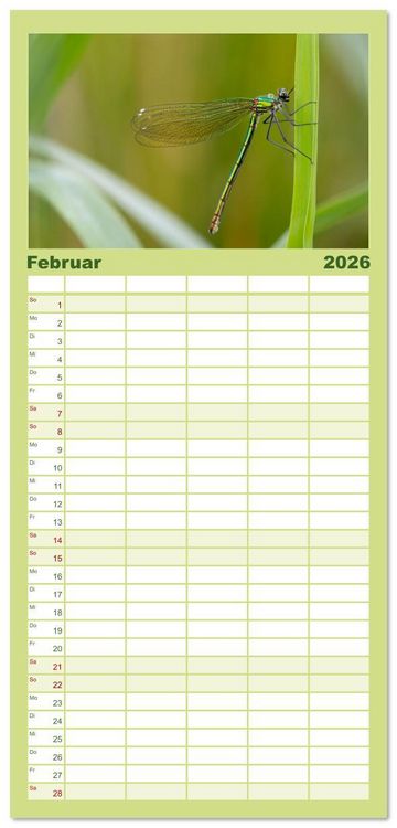 Produktbild: Familienplaner 2026 - Naturwunder Libellen mit 5 Spalten (Wandkalender, 21 x 45 cm) CALVENDO