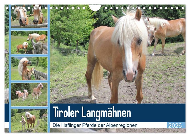 Produktbild: Tiroler Langm&auml;hnen (Wandkalender 2026 DIN A4 quer), CALVENDO Monatskalender