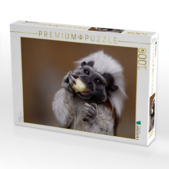 Produktbild: CALVENDO Puzzle Lisztaffe | 1000 Teile Lege-Gr&ouml;&szlig;e 64x48cm Foto-Puzzle f&uuml;r gl&uuml;ckliche Stunden