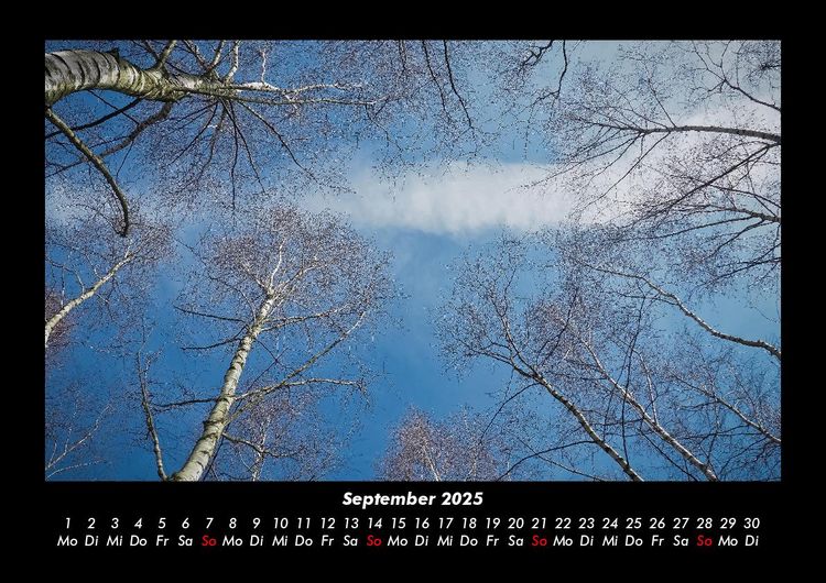 Produktbild: B&auml;ume 2025 Fotokalender DIN A3