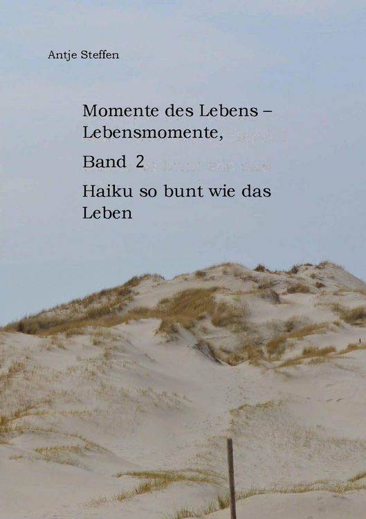 Produktbild: Momente des Lebens - Lebensmomente Band 2