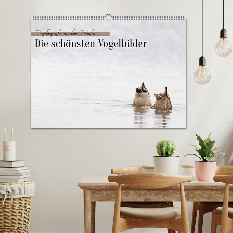 Produktbild: Vogelfotografie aus dem Norden (Wandkalender 2027 DIN A2 quer), CALVENDO Monatskalender