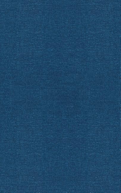 Produktbild: Fuzzy Sets and Systems