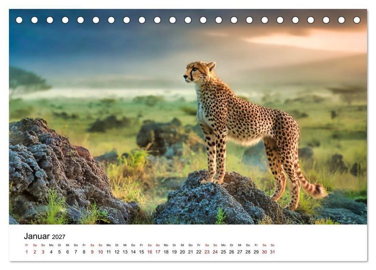Produktbild: Eleganz und Instinkt - die beeindruckende Welt der Geparden (Tischkalender 2027 DIN A5 quer), CALVENDO Monatskalender