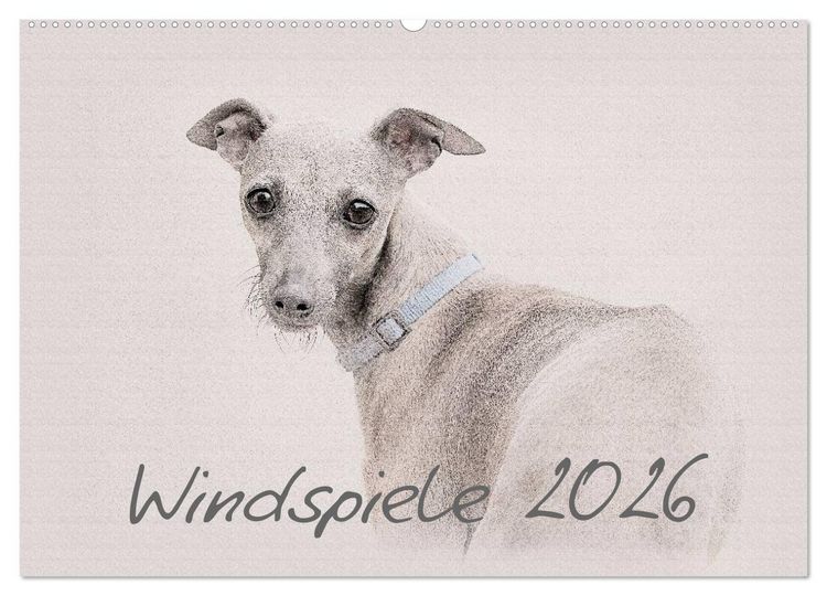 Produktbild: Windspiele 2026 (Wandkalender 2026 DIN A2 quer), CALVENDO Monatskalender