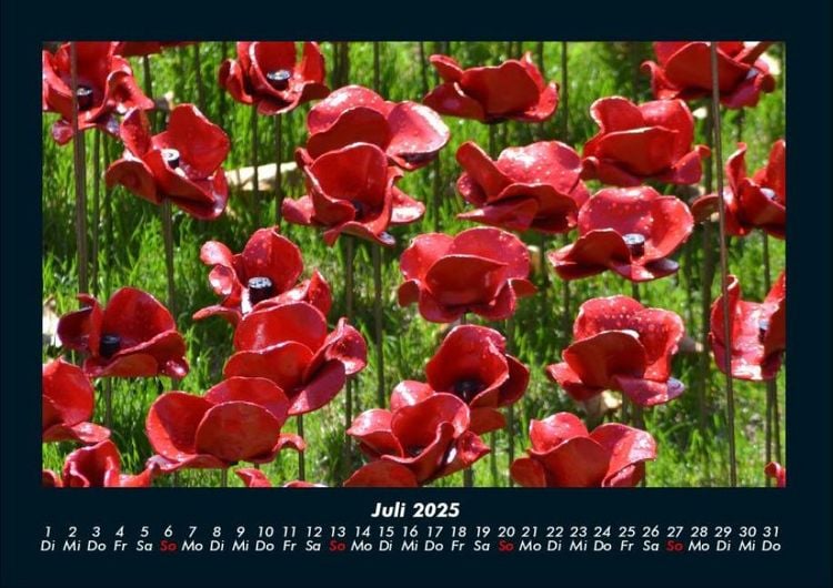 Produktbild: Blumenzauber 2025 Fotokalender DIN A4
