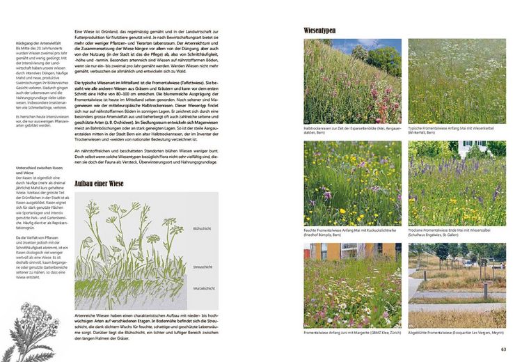 Produktbild: Praxishandbuch Stadtnatur