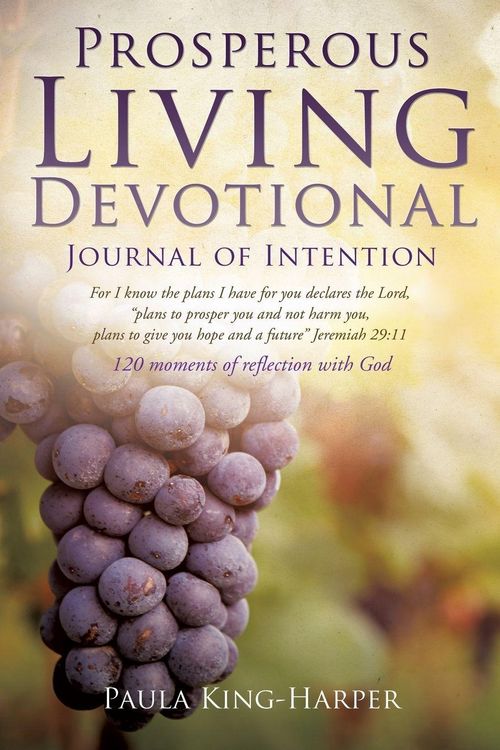 Produktbild: Prosperous Living Devotional