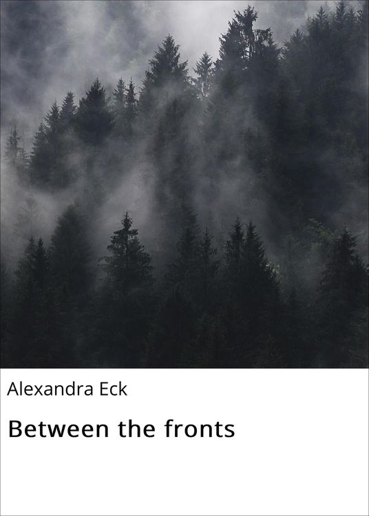 Produktbild: Between the fronts