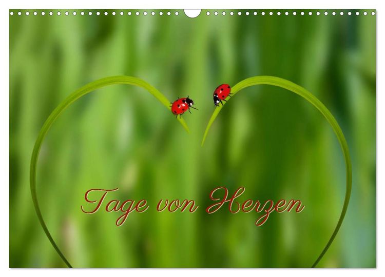 Produktbild: Tage von Herzen (Wandkalender 2026 DIN A3 quer), CALVENDO Monatskalender