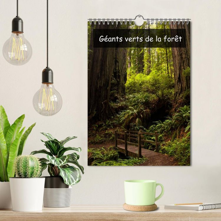 Produktbild: G&eacute;ants verts de la for&ecirc;t (Calendrier mural 2026 DIN A4 horizontal), CALVENDO calendrier mensuel