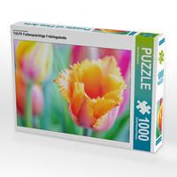 Produktbild: CALVENDO Puzzle TULPE Farbenpr&auml;chtige Fr&uuml;hlingsbotin 1000 Teile Lege-Gr&ouml;&szlig;e 64 x 48 cm Foto-Puzzle Bild von Bernd Maertens