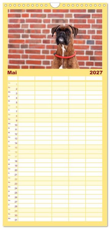 Produktbild: Familienplaner 2027 - Deutscher Boxer 2027 mit 5 Spalten (Wandkalender, 21 x 45 cm) CALVENDO