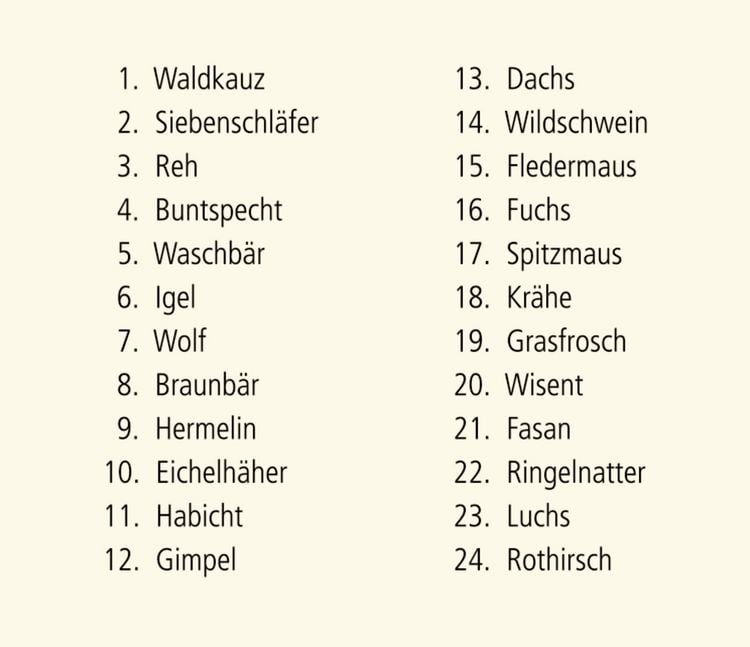 Produktbild: Sound-Adventskalender &ndash; H&ouml;rt ihr die Tiere im Winterwald?