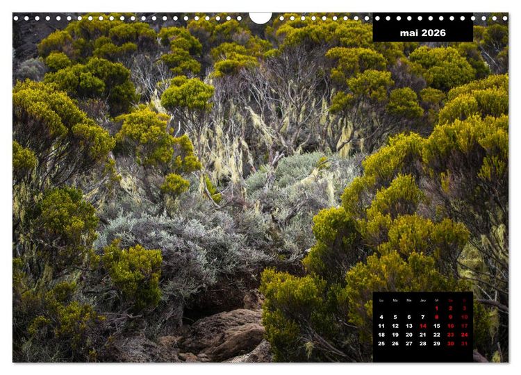 Produktbild: Paysages de l'&icirc;le de La R&eacute;union (Calendrier mural 2026 DIN A3 vertical), CALVENDO calendrier mensuel