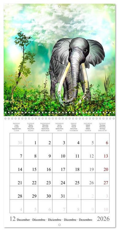 Produktbild: Grands et doux Les &eacute;l&eacute;phants (Calendrier mural carr&eacute; 2026 30x30 cm) Calendrier double avec une page pour vos prises de notes