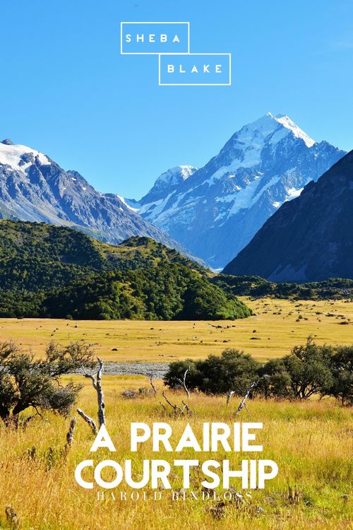 Produktbild: A Prairie Courtship