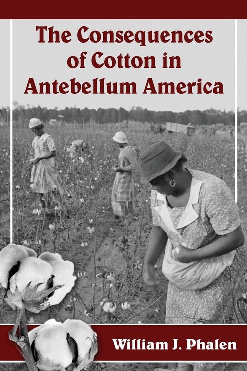 Produktbild: The Consequences of Cotton in Antebellum America