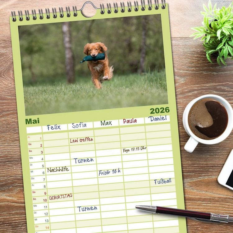 Produktbild: Familienplaner 2026 - Toller - Nova Scotia Duck Tolling Retriever mit 5 Spalten (Wandkalender, 21 x 45 cm) CALVENDO