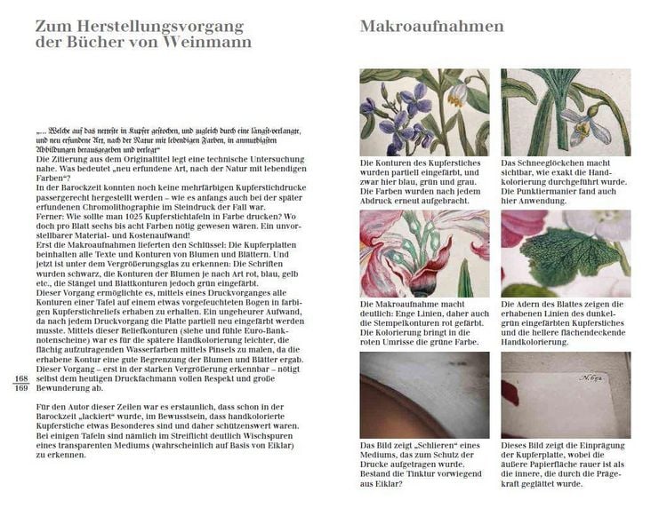 Produktbild: Blumen einst und jetzt