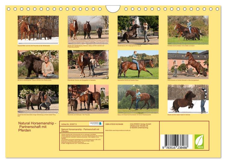 Produktbild: Natural Horsemanship - Partnerschaft mit Pferden (Wandkalender 2026 DIN A4 quer), CALVENDO Monatskalender