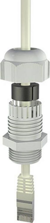 Produktbild: Bopla 12002404 Kabelverschraubung M25 Polyamid Lichtgrau (RAL 7035) 1St.