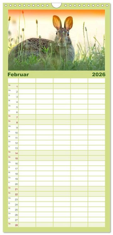 Produktbild: Familienplaner 2026 - Feldhasen und Kaninchen mit 5 Spalten (Wandkalender, 21 x 45 cm) CALVENDO