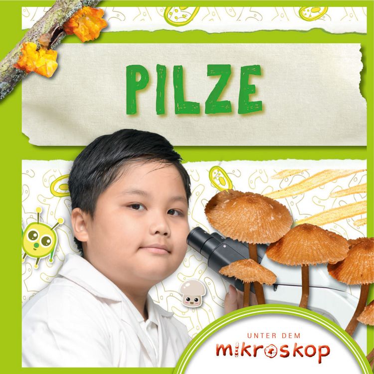 Produktbild: Pilze