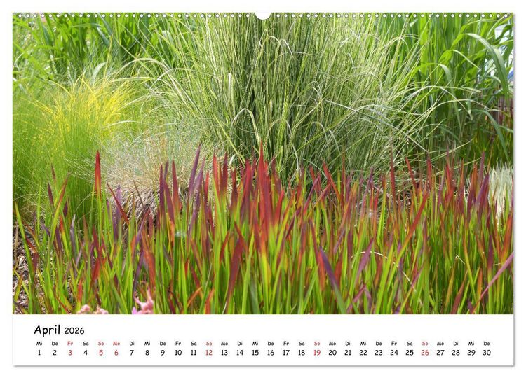 Produktbild: Mein Garten Eine Leidenschaft (Wandkalender 2026 DIN A2 quer), CALVENDO Monatskalender