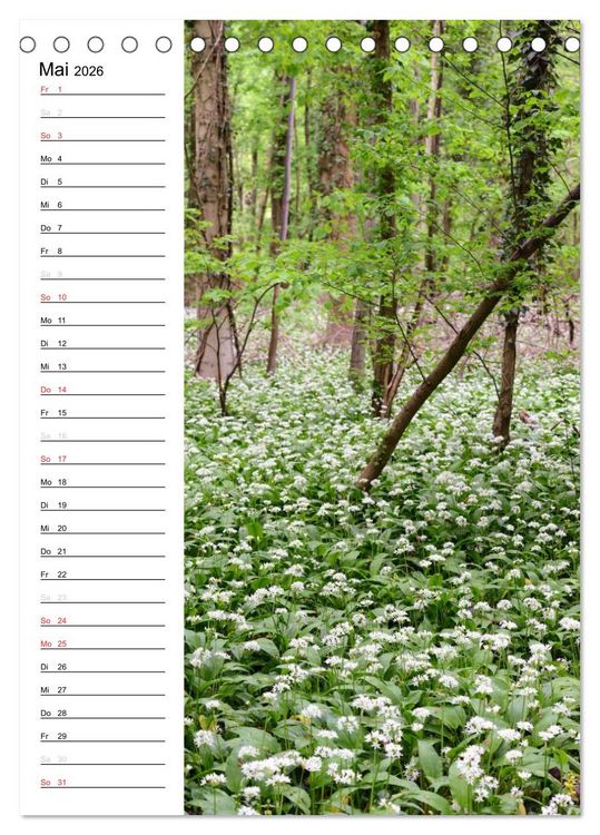 Produktbild: Land Brandenburg im Wechsel der Jahreszeiten (Tischkalender 2026 DIN A5 hoch), CALVENDO Monatskalender