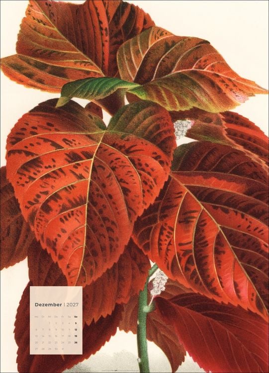 Produktbild: Botanicals Kalender 2027