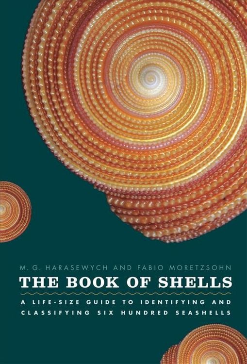 Produktbild: The Book of Shells