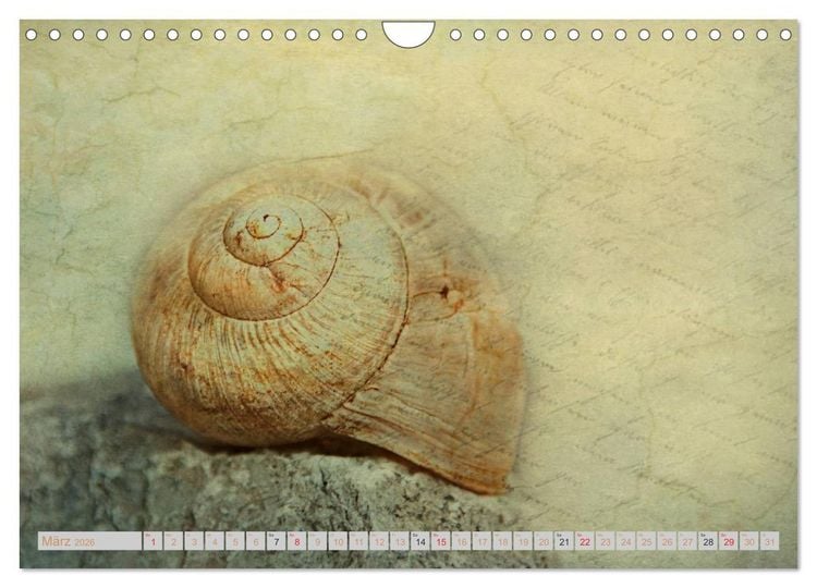 Produktbild: Momente der Stille (Wandkalender 2026 DIN A4 quer), CALVENDO Monatskalender