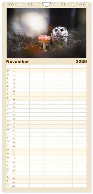 Produktbild: Familienplaner 2026 - Eulen - sch&ouml;n und geheimnisvoll mit 5 Spalten (Wandkalender, 21 x 45 cm) CALVENDO