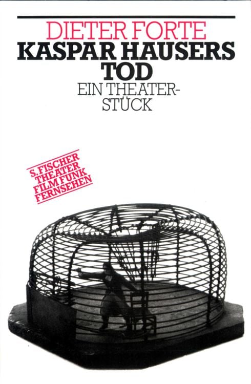 Bild vom Artikel Kaspar Hausers Tod vom Autor Dieter Forte
