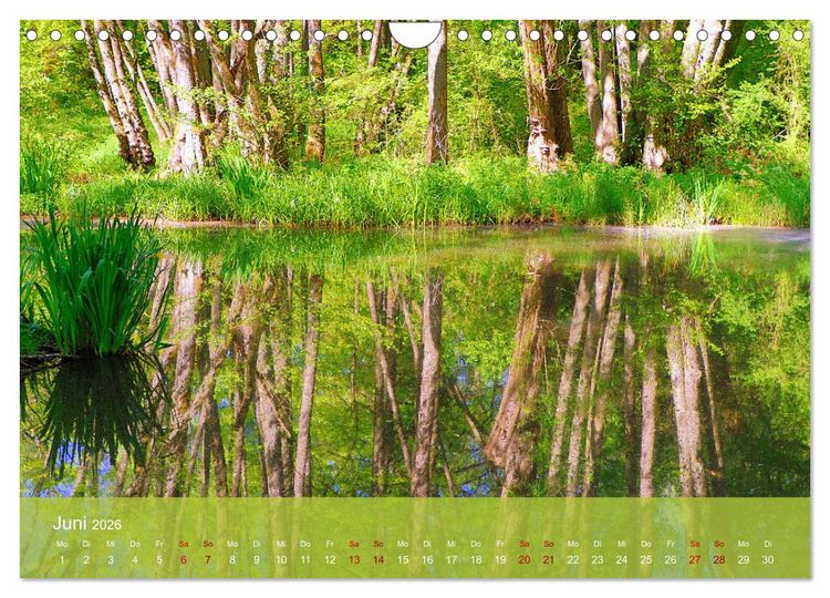 Produktbild: Wanderparadies S&uuml;dpfalz (Wandkalender 2026 DIN A4 quer), CALVENDO Monatskalender