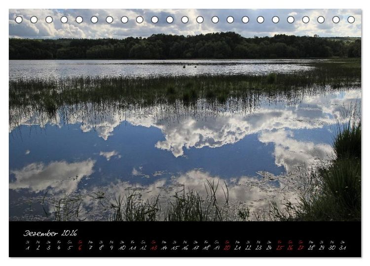 Produktbild: Broc&eacute;liande / Zauberwald der Bretagne (Tischkalender 2026 DIN A5 quer), CALVENDO Monatskalender