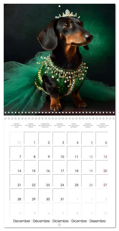 Produktbild: Grand Divas of the Dog World (Wall Calendar 2026 12 &times; 12 Inch) CALVENDO 12 Month Wall Calendar
