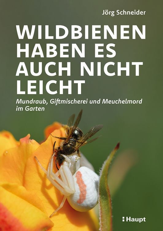 Produktbild: Wildbienen haben es auch nicht leicht