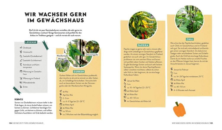 Produktbild: Keine Zeit zu g&auml;rtnern &ndash;&nbsp;Gem&uuml;se l&auml;nger ernten in Gew&auml;chshaus, Fr&uuml;hbeet & Co.