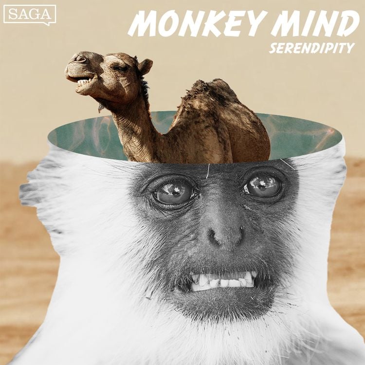 Produktbild: Serendipity