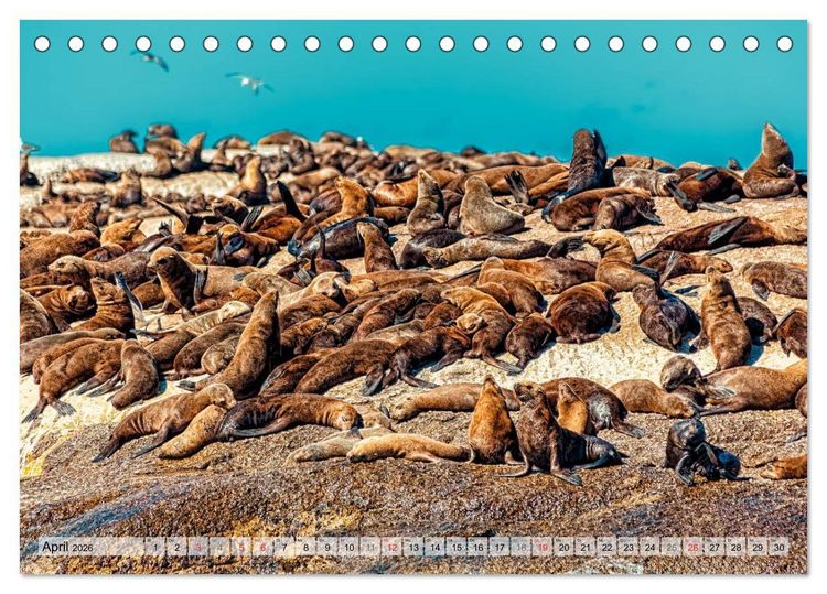 Produktbild: Westkap S&uuml;dafrika (Tischkalender 2026 DIN A5 quer), CALVENDO Monatskalender