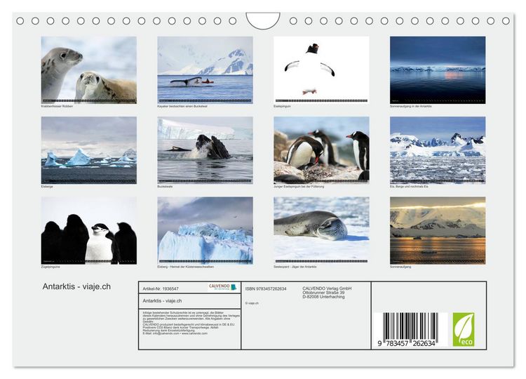 Produktbild: Antarktis - viaje.ch (Wandkalender 2026 DIN A4 quer), CALVENDO Monatskalender